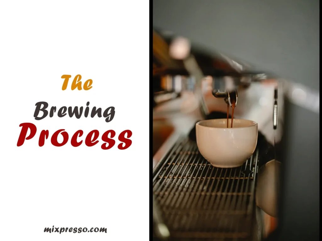 The Brewing Process